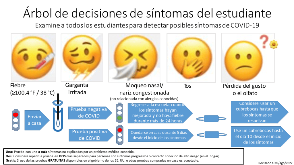 Student Symptom Decision Tree Algorithm - Spanish